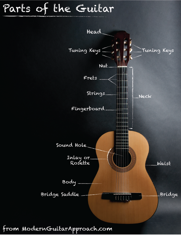 This is a photo of the parts of the guitar.  Parts like the head, tuning keys, nut, frets, strings, fingerboard, neck, sound hole, waist, body and bridge.  #learnguitar #guitarlessons Modern Guitar Approach